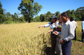 Xebangfai Stakeholders Discuss New Weeding Techniques for Rice Fields